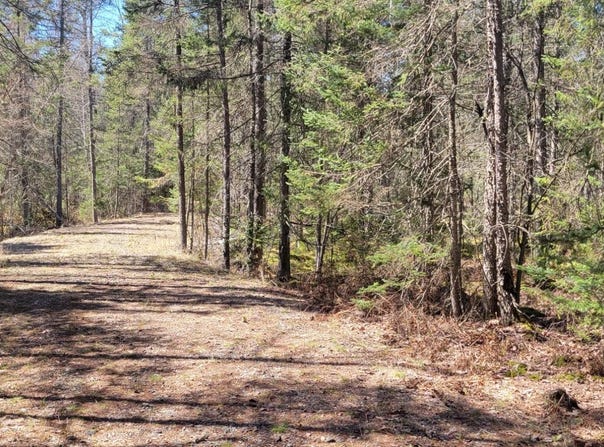 5350 PINEAIRE DR, Rhinelander, WI 54501
