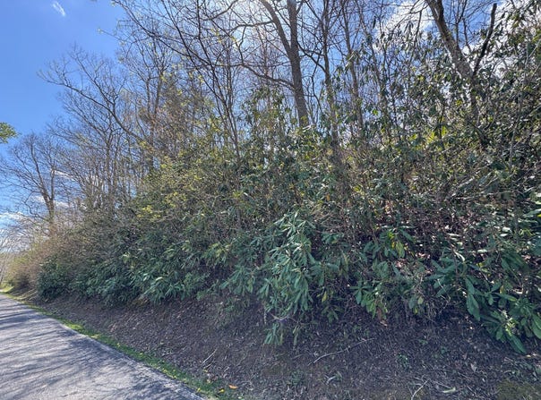 Hemlock Dr, Newland, NC 28657