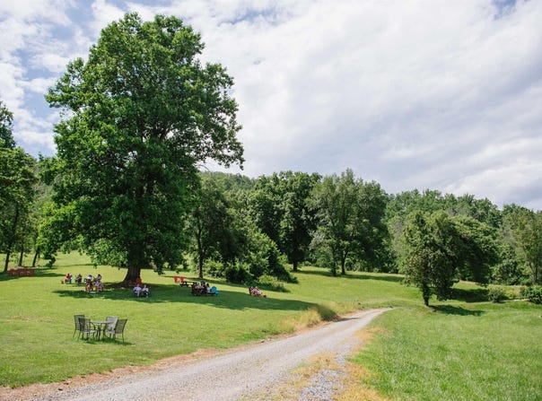 3613 WALNUT BRANCH LN, NORTH GARDEN, VA 22959