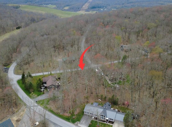 Anemone Lane, Terra Alta, WV 26764