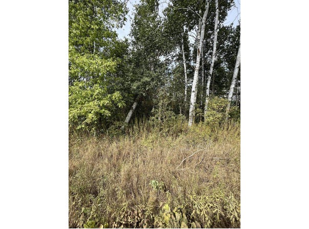 Lot One KRAUS STREET, Marshfield, WI 54449