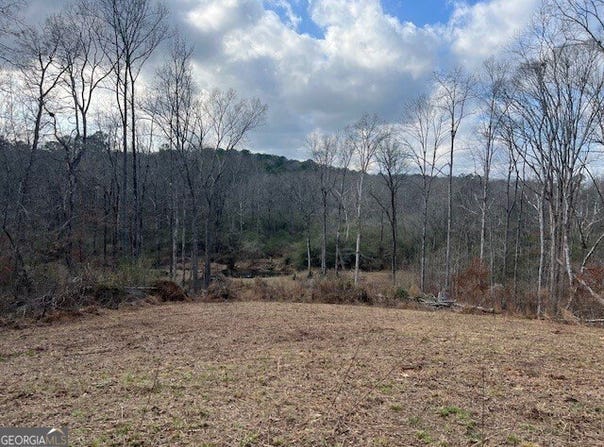 Mountain Creek Drive, Rome, GA 30161