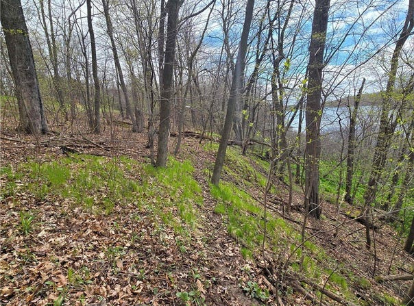 Xxx Niles Lane, Centuria, WI 54824