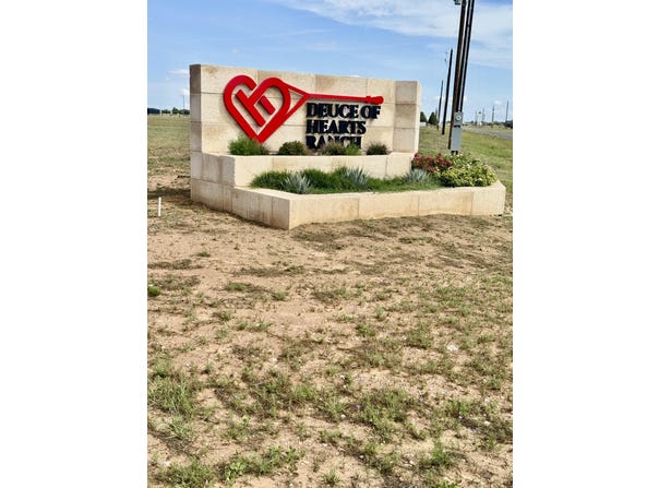Lot 24 Deuce of Hearts Rd Road, New Home, TX 79383