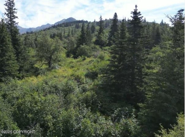 L3 Panoramic Circle, Anchorage, AK 99516