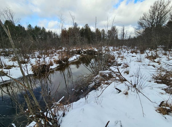 0WP Emmonsburg/Red School House Rd, Salisbury Center, NY 13454