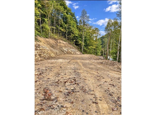 450 Peter Fork Rd, McCarr, KY 41544