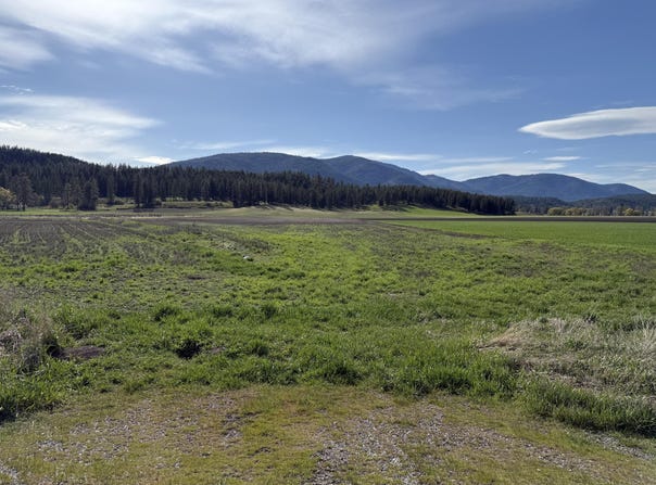 TBD ZIMMER RD, ADDY, WA 99101