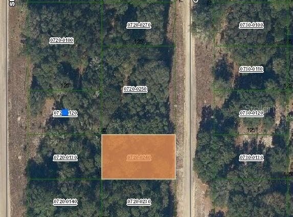 GUY AVENUE, INTERLACHEN, FL 32148