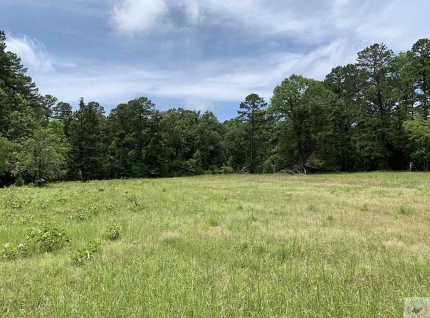 3 FOLD RD, Atlanta, TX 75551