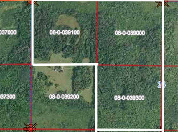 Tbd 430th Lane, Fleming Twp, MN 56469