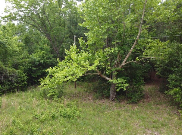 0 Liberty Church Rd, Manning, SC 29102
