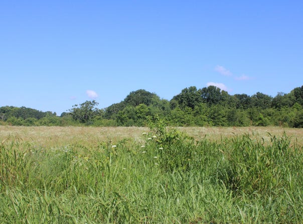 West Plains, MO 65775