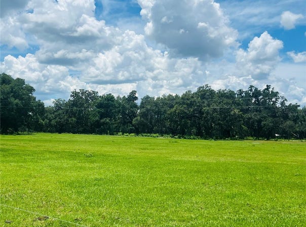 0 546A, BUSHNELL, FL 33513