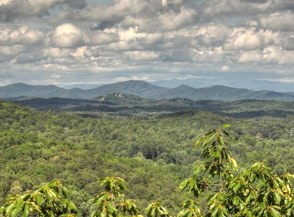 Menagerie Ridge, Epworth, GA 30541