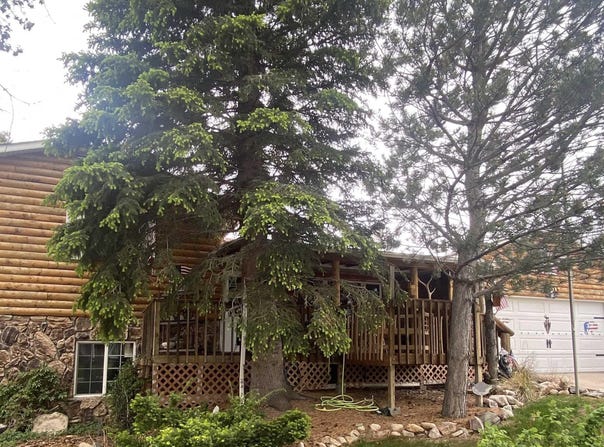 4203 EVERTON DR, Cheyenne, WY 82009