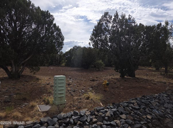 1920 Passage Drive, Show Low, AZ 85901