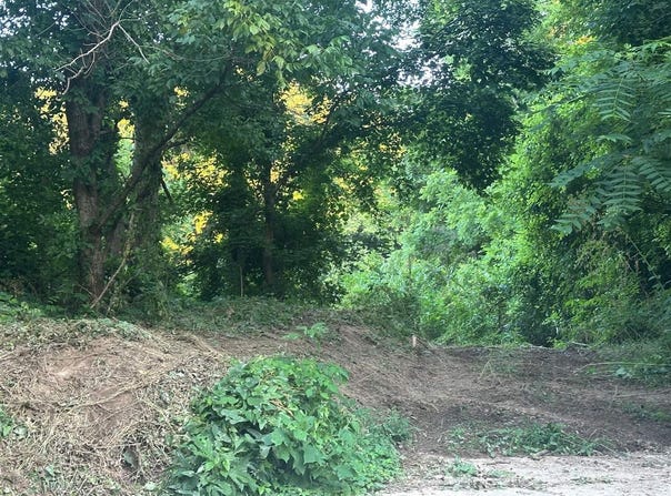 0 Highway 49, Bradfordsville, KY 40009