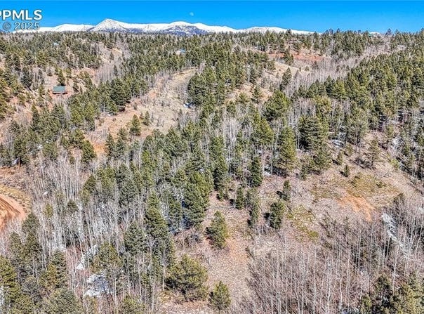542 Vivenda Road, Cripple Creek, CO 80813