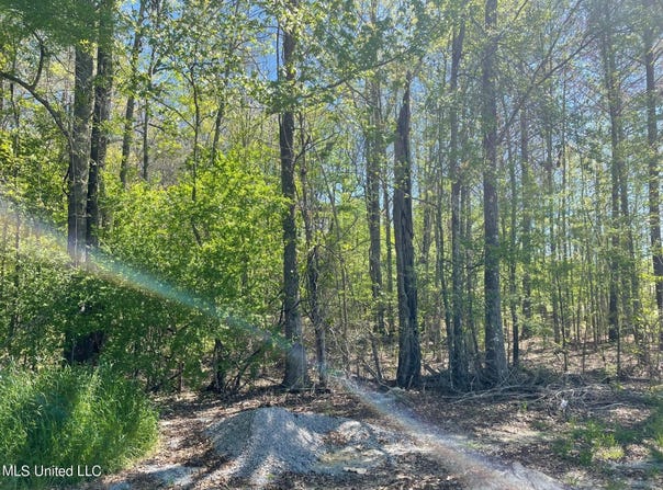 108 Holly Bush Road, Brandon, MS 39047