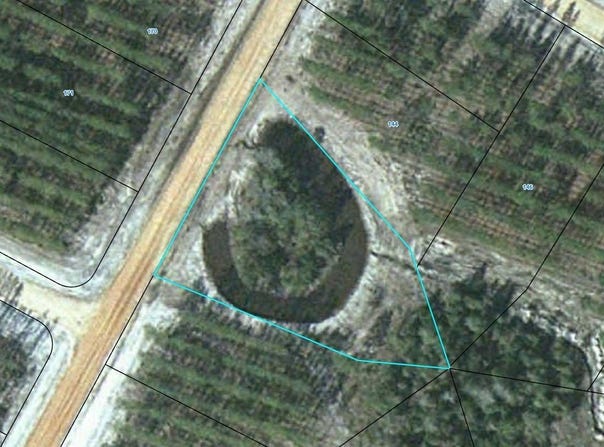 Satilla Plantation lot: 143, Waynesville, GA 31566