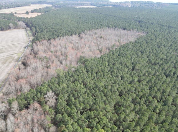 Water Road, Bath, NC 27808