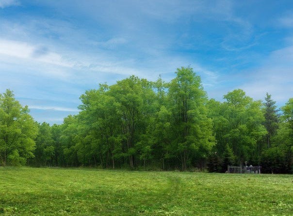 THOROUGHBRED Loop, Erie, PA 16506