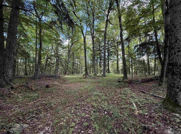 38.14 Acres US Highway 2, Gulliver, MI 49840