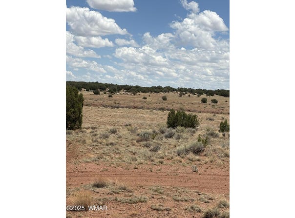 104 N  5532, Concho, AZ 85924