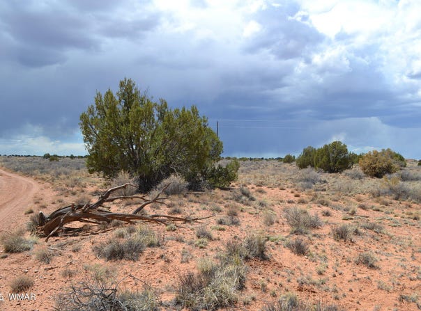 Lot 020b E 24th N Street, Snowflake, AZ 85937