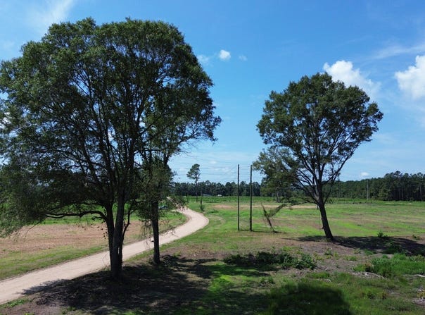 Azeeban Rd lot: 4, Vance, SC 29115