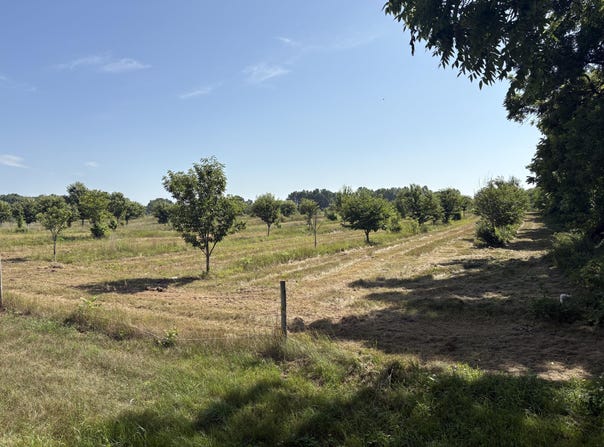 Leach Rd Road, Dowagiac, MI 49047