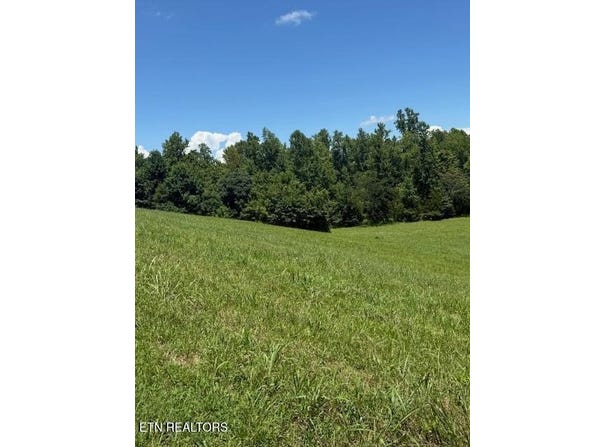 00 Mill Drive, Decatur, TN 37322