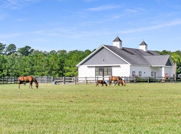 17 Leaning Oak Lane, Ravenel, SC 29470