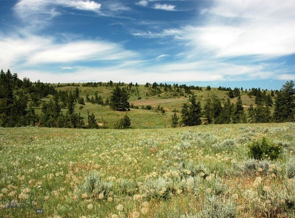 Lone Rock Canyon Lane unit: Sc-25, Hysham, MT 59076