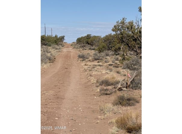 8580c Lawson Lane, Snowflake, AZ 85937
