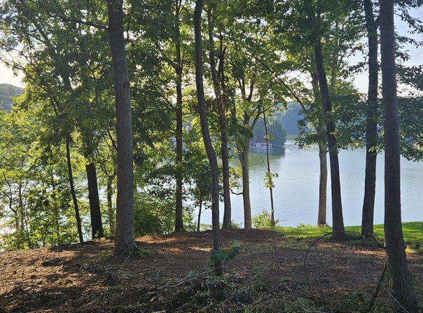 Lot 9 Longview Estates DR, Goodview, VA 24095