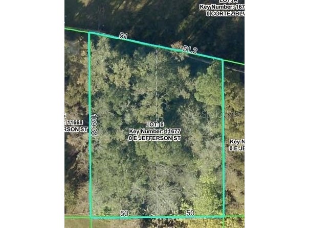 E JEFFERSON Street, BROOKSVILLE, FL 34601