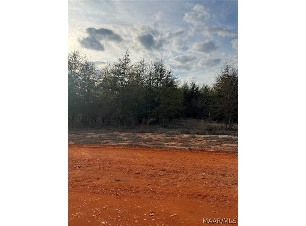 Deer Loop lot: 21, Camden, AL 36726