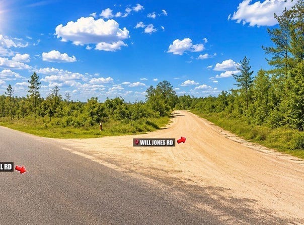 Will Jones Rd, Vinegar Bend, AL 36584