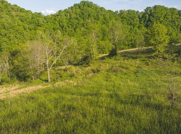 Lots 9 Big Springs Road, Eidson, TN 37731