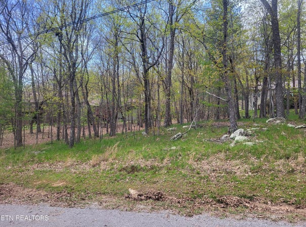 142 Greenbrier Loop, Crossville, TN 38558