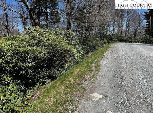 117 Wild Daisy Lane, Beech Mountain, NC 28604