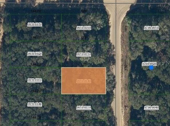 ANNETTE AVENUE, INTERLACHEN, FL 32148