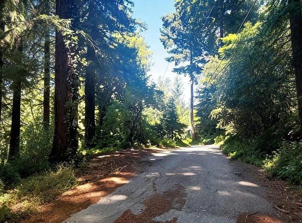 1080 Blue Ridge DR, BOULDER CREEK, CA 95006