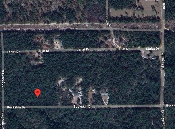 122 BUCKSKIN Drive, Florahome, FL 32140