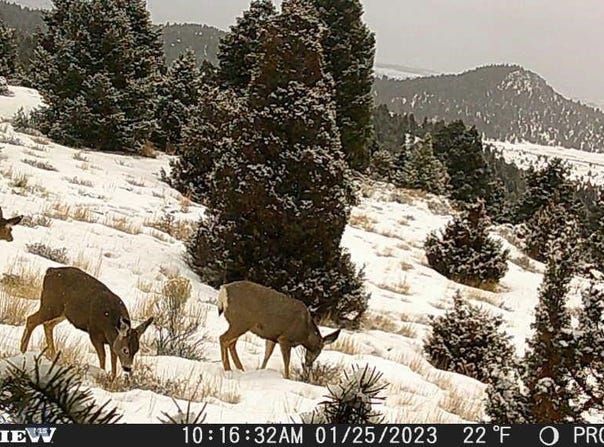 Pony Express Trail lot: 74, Ramsay, MT 59748