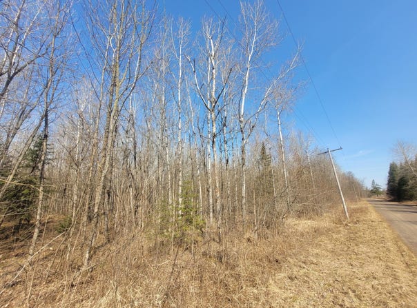 On CEMETERY RD, Loretta, WI 54896