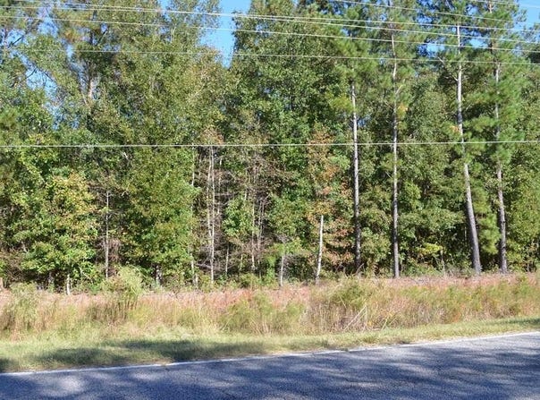 00 Bloomville Road, Manning, SC 29102