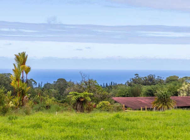 29-627-A CHIN CHUCK RD, Hakalau, HI 96710